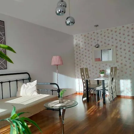 Duze Mieszkanie Na Wylacznosc - 3 Na Parterze Apartment