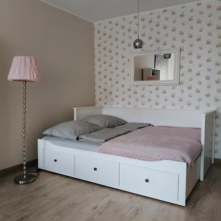 Duze Mieszkanie - 3 Na Parterze Dla Max 6 Osob شقة غدينيا