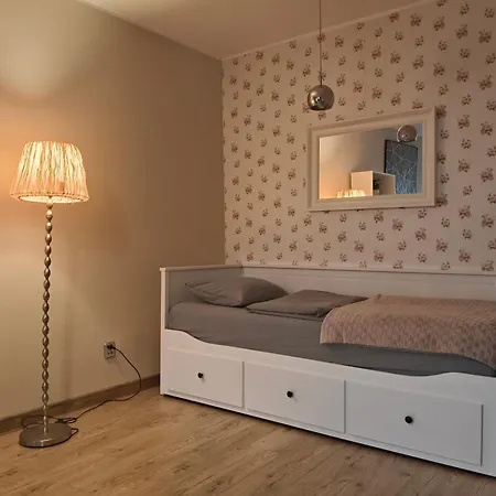 Duze Mieszkanie - 3 Na Parterze Dla Max 6 Osob * غدينيا